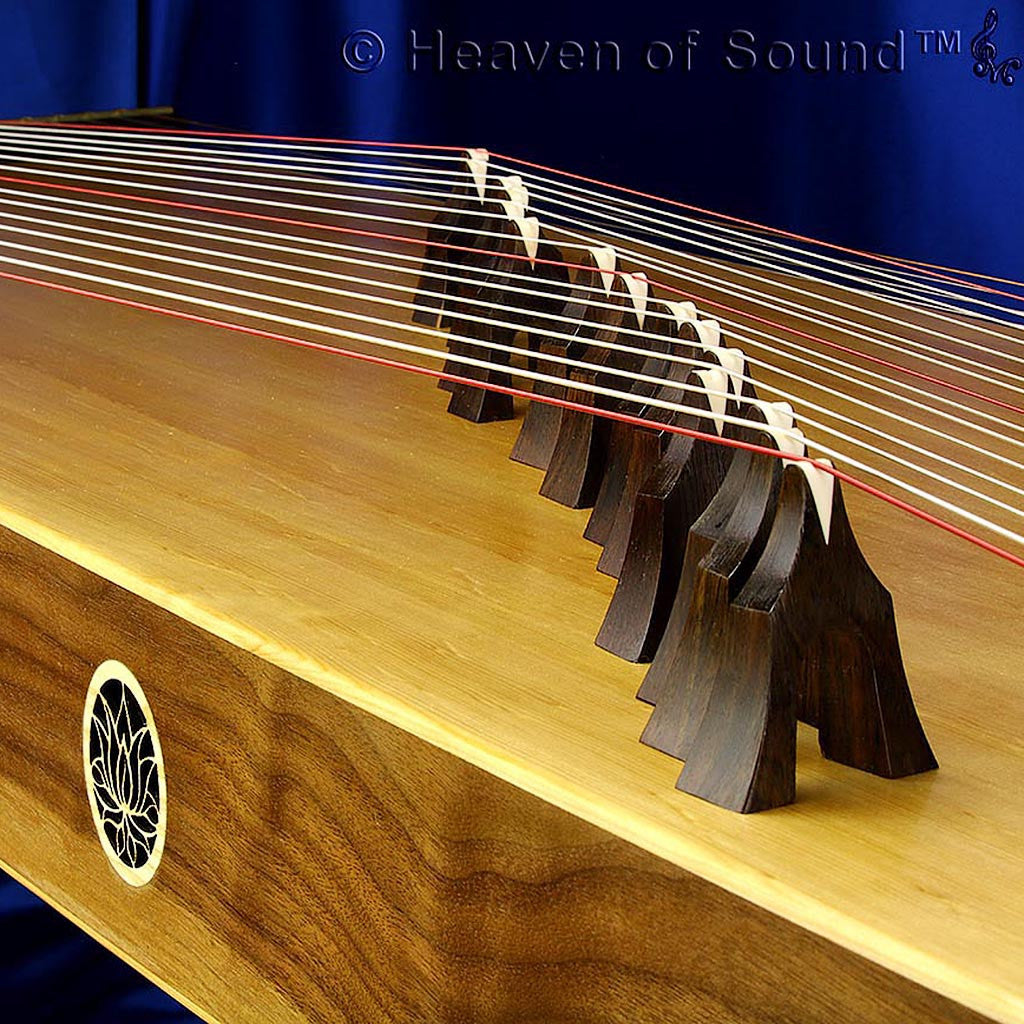 Custom made KoTaMo (Koto, Tanpura, Monochord) at Heaven of Sound - 1